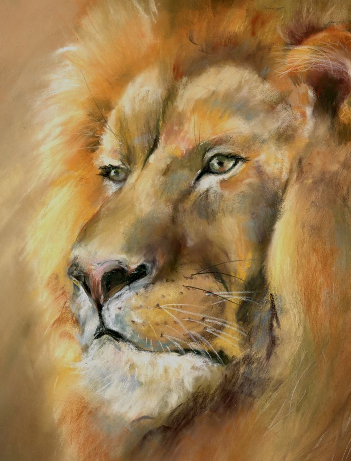 Lion Portrait - Image 4