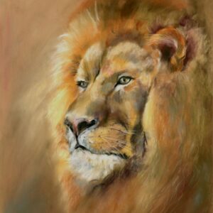 Original pastel drawing of a lion portrait showing the animal's calm and confident expression