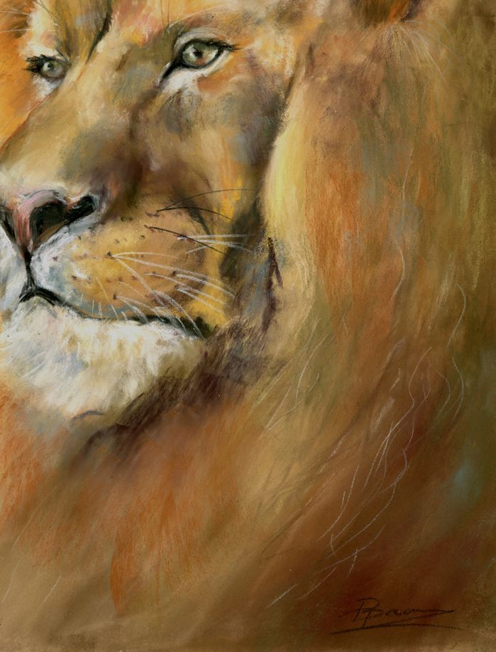 Lion Portrait - Image 5
