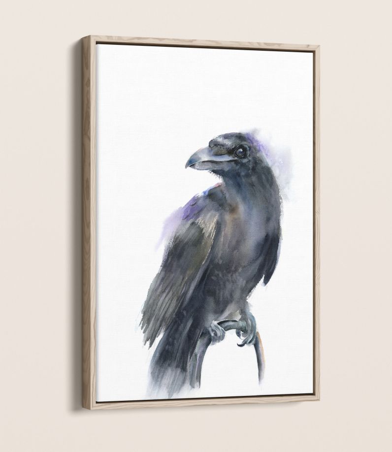 Raven - Image 2